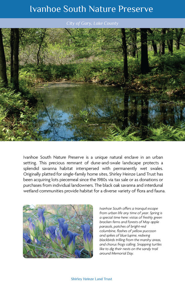 SHLT Preserve Guide Redesign 2026