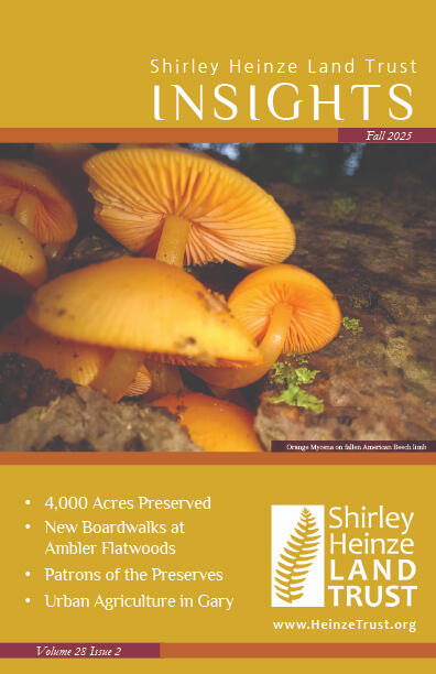 Shirley Heinze Land Trust Fall 2025 Newsletter Page Excerpt